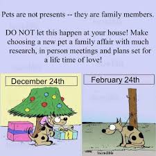 Pets Are Not Presents They Re Family Members Animal Advocacy The Incredibles I Love Dogs
