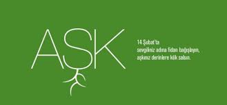 Tema vakfi araciligiyla sevgilinizle dikili bir agaciniz olabilir. Sevgililer Gunune Ozel Alternatif Ve Cevre Dostu 8 Hediye Yesilist Herkes Icin Yesil