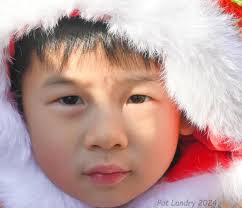 Near-death experience caused by angry wasps prompted art show