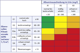 Improving global outcomes (kdigo) clinical practice guideline on the monitoring, management, and treatment of kidney transplant recipients is intended to assist the. Proteinurie Konsequenzen Fur Die Hausarztpraxis Doctors Today