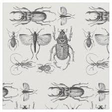 Black And White Insect Drawings Beetles And Bugs Fabric Black And White Drawing Drawings Detailed Drawings