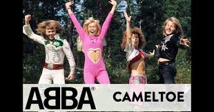 Image result for cameltoe