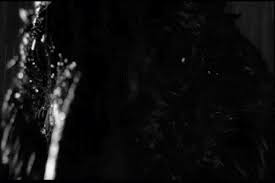 horror raven gif | WiffleGif