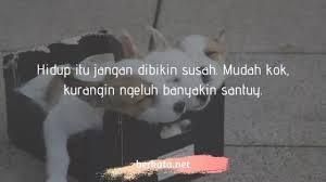 Cara membuka presentasi dengan baik dan menarik presentasi net. 50 Kumpulan Kata Kata Editor Keren Update 2021 Jalantikus