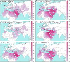 28,000 years ago in or near western asia. Origin And Diffusion Of Human Y Chromosome Haplogroup J1 M267 Scientific Reports