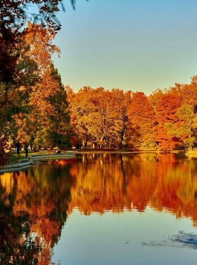 Take a Hike! 10 Places to See Amazing Fall Foliage | Things to Do in  Dayton, OH