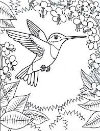 Framed By Flowers Hummingbird Coloring Page Bird Coloring Pages Hummingbird Colors Animal Coloring Pages