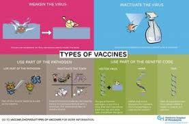 Jonas salk tested his vaccine against poliomyelitis, then a very prevalent and dangerous disease, in 1954. Making Vaccines How Are Vaccines Made Children S Hospital Of Philadelphia