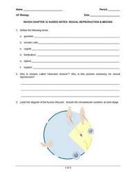 In these organisms the meiotic divisions occur just after fertilization to facilitate the production of spores. Meiosis Lesson Plans Worksheets Lesson Planet