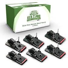 Our products allow you to monitorrodents, insects & mosquitoes with confidence. Top 10 Best Pro Mouse Traps 2020 Bestgamingpro