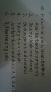 Oleh karena itu ciri ciri tumbuhan monokotil inilah yang paling mudah kita gunakan untuk mengindentifikasi apakah suatu tumbuhan termasuk dikotil atau monokotil. Ciri Tumbuhan Dikotil Ditunjukan Oleh Pernyataan Nomor Brainly Co Id