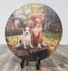 Print Your Photograph