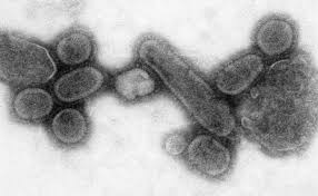 Disegni coronavirus per bambini da. Influenza Spagnola Wikipedia