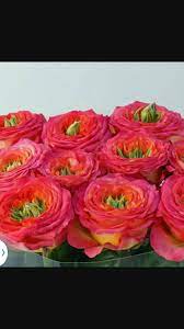 Bordentown township homes for sale. Miss Daisy S Flowers And Gifts Home Facebook