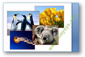 Cara Menggabungkan Gambar Di Microsoft Word Cara Aimyaya Cara Semua Cara