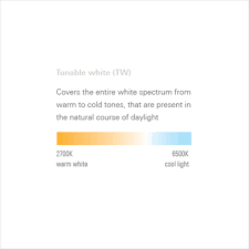 Quickship & quickship red programs. Canvas C Intra Lighting Free Bim Object For 3ds Max Sketchup Revit Bimobject