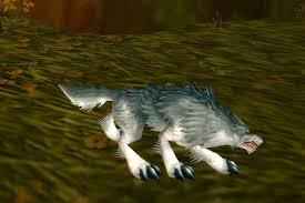 Aug 09, 2021 · rapper jeune loup has been shot useless on the road in montreal, studies say. Jeune Loup Pnj World Of Warcraft