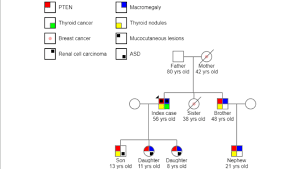 pedigree chart showing clinical manifestations in a family