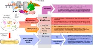 Confidence in the safety and integrity of the food supply is an important requirement for consumers. The Use Of Next Generation Sequencing For Improving Food Safety Translation Into Practice Sciencedirect