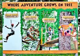 Help the cute teddy to walk safely through the forest in forest adventure one of the most engaging and fascinating games. Entree Kibbles Forest Adventure The Place To Conquer Our Fear For Heights Bedok Reservoir Park Singapore