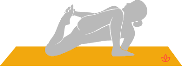 What Is Twisted Lizard Pose Definition From Yogapedia