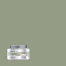 Valspar Tuscan Olive Interior Paint Sample Half Pint Lowes Com Interior Paint Colors Interior Paint Tuscan Design
