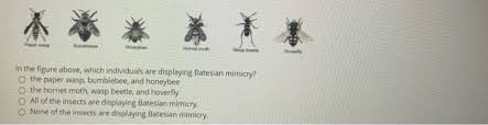 Let's examine these in more detail. What Is Batesian Mimicry