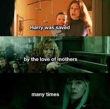 I Loved Draco S Mother S Character Arc When You Realized She Didn T Actually Want To Be Bad Harry Potter Quiz Harry Potter Puns Harry Potter Obsession