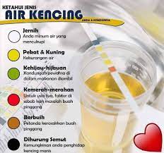 Kenapa bisa sakit kuning sakit kuning ini disebabkan oleh penumpukan zat yang bermana bilirubin didalam aliran darah. Uollss Sedar Tak Air Kencing Kita Volten Pantai Timur Facebook