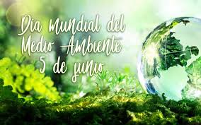 Este tema se ha elegido por varias razones: Dia Mundial Del Medio Ambiente Centro De Educacion Ambiental De Casa De Campo