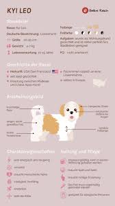 Unsere tiersteckbriefe geben dir einen spannenden einblick in die welt der tiere. Kyi Leo Charakter Haltung Pflege