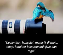 Kata bijak bahasa inggris serta artinya september 14, 2018. H6ac4vdfp2fuem