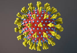 coronavirüs ile ilgili görsel sonucu