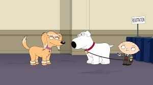 Check out amazing peter_griffin_meme artwork on deviantart. Family Guy Boy Dog Meets Girl Dog Tv Episode 2018 Imdb