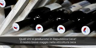 Il cibo tradizionale ceco è un incubo per i vegetariani, essendo costituito da un menù di carne carico di colesterolo, accompagnato da gnocchi. Quali Vini Si Producono In Repubblica Ceca Breve Viaggio Nella Viticoltura Ceca Buracchi Ultimo