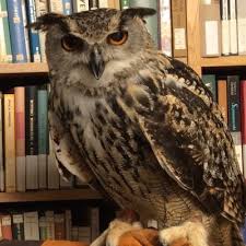 Wendy Stacey (@WendyStacey27)