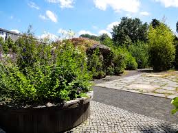 Dadurch hebt sich dieser botanische garten von denen in anderen städten. Botanischer Garten Leipzig Vier Mal Natur Pur Sachsen Erkunden