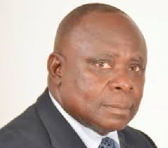 The Ghanaian Perspective: Opinion Articles