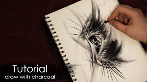 Explore thousands of inspiring classes for creative and curious people. Tutorial How To Draw A Cat With Charcoal And Pencil Sketch Style Drawing Techniques Youtube