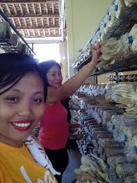 Harvest time na ka HF!!! Mushroom and vegetables <3