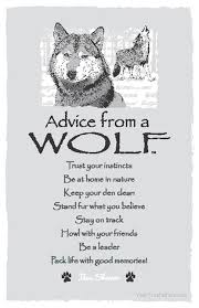 Advice From A Wolf Frameable Art Postcard Wolf Spirit Wolf Quotes Wolf
