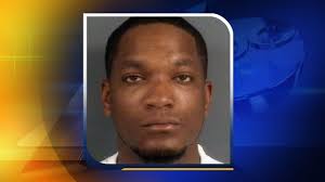 Fayetteville man accused of starving two dogs to death