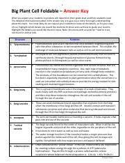 Identify key organelles present only in animal cells, including centrosomes and lysosomes. 15 Big Plant Cell Foldable Answer Key Pdf 1 Big Plant Cell Foldable U2013 Answer Key What You Expect Your Students To Produce Will Depend On Their Course Hero