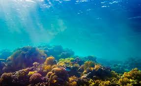 Stunning limestone karst islands rise. Mapping Methods Prove Helpful In Protecting Coral Reefs 2017 02 10 Point Of Beginning