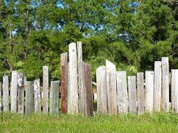 Chain link fence to wood fence. Fence Telephone Poles Wooden Fence Poles Grass Trees Outdoors Wood Pikist
