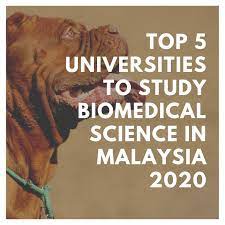 Check spelling or type a new query. Top 5 Universities To Study Degree In Biomedical Science In Malaysia 2020