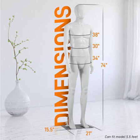 Male Torso Dress Form Mannequin – Pyle USA