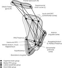 Check spelling or type a new query. Biological Emotions A Readout View Part Ii Emotion