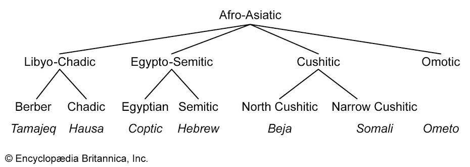 Afro-Asiatic family tree showing Semitic relationships, AI generated