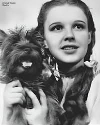 What famous TV dog was originally called Too Much?